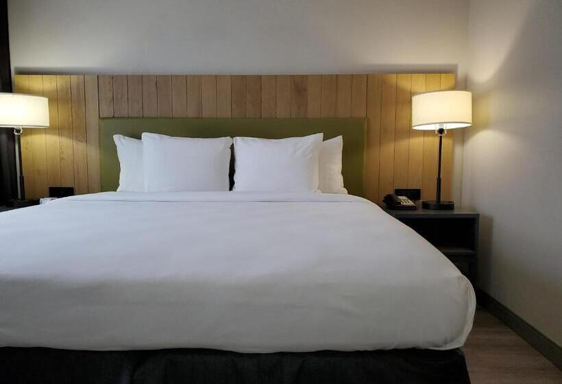 스위트 킹사이즈 침대, Country Inn & Suites By Radisson, Buford At Mall Of Georgia, Ga