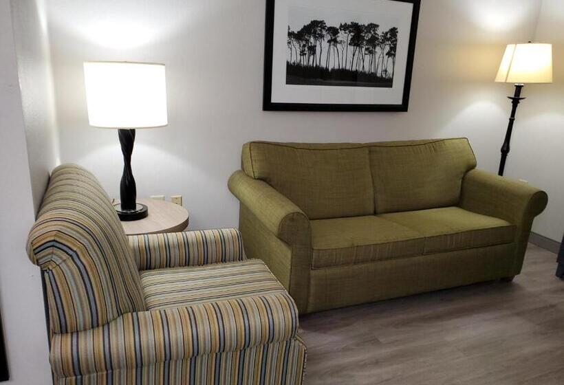 스탠다드 스튜디오 킹침대, Country Inn & Suites By Radisson, Buford At Mall Of Georgia, Ga