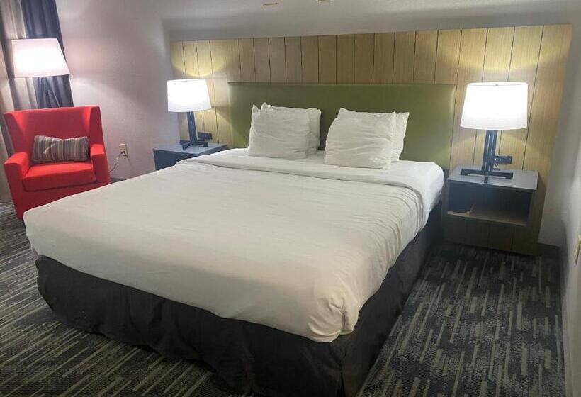 适合残疾人士使用的套间, Country Inn & Suites By Radisson, Columbia Airport, Sc
