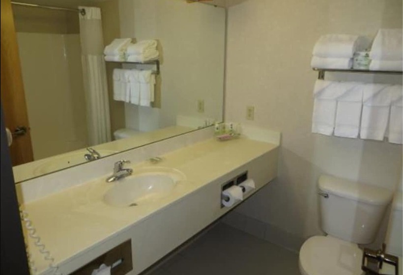 Люкс, Country Inn & Suites By Radisson, Lansing, Mi