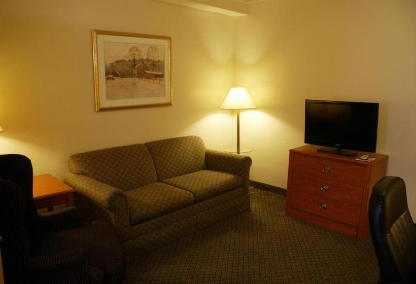 Люкс, Country Inn & Suites By Radisson, Lansing, Mi