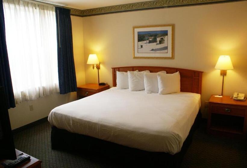 Студио Стандарт Кровать Кинг, Country Inn & Suites By Radisson, Lansing, Mi