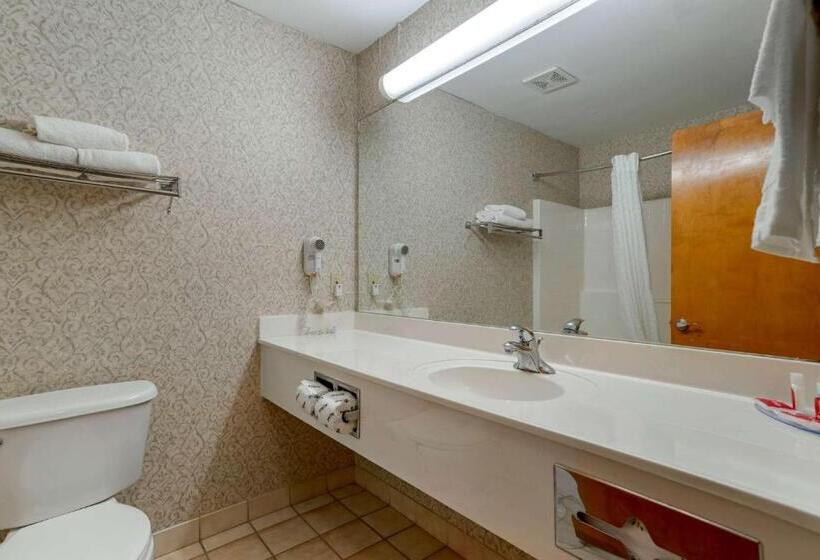 Номер Стандарт, Econo Lodge Inn & Suites