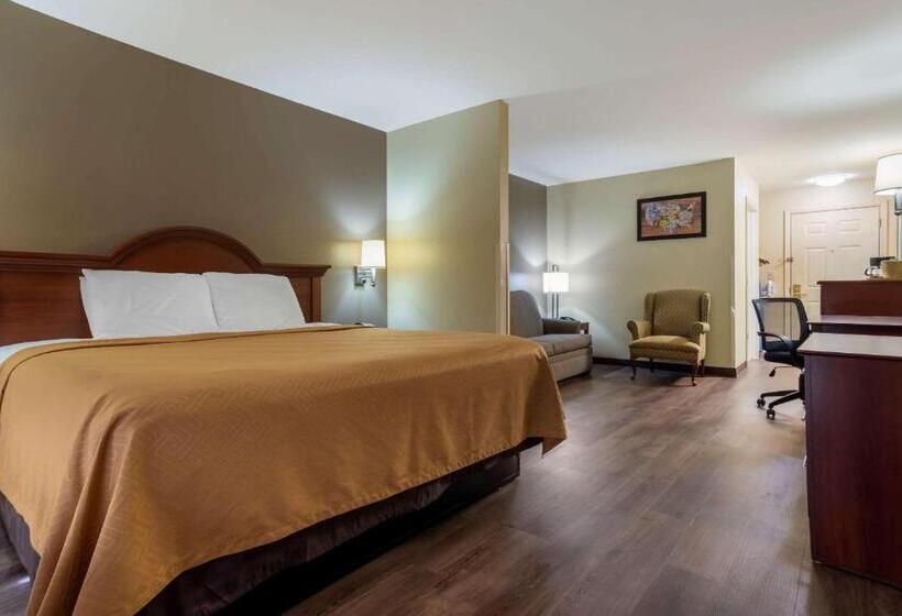 Номер Стандарт Кровать Кинг Адаптированный для Инвалидов, Econo Lodge Inn & Suites