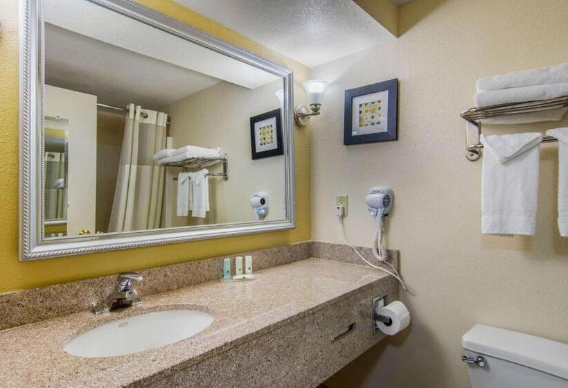 Номер Стандарт, Quality Inn & Suites Union City   Atlanta South