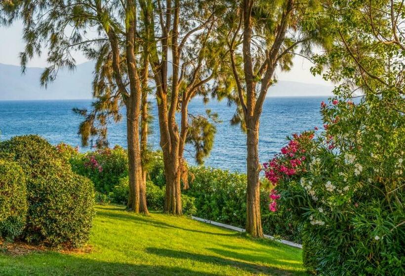 Стандартный Номер Нижний Этаж, The Grand Blue Sky International  All Inclusive