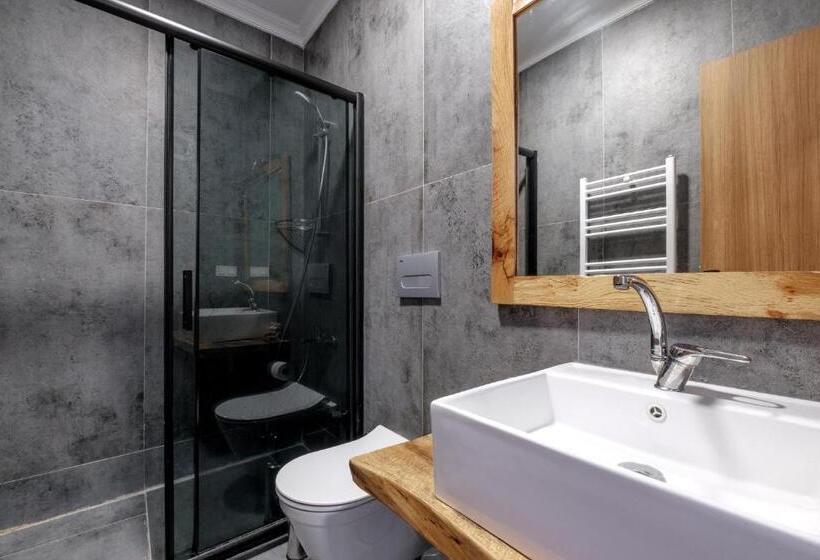 اتاق استاندارد با چشم‌انداز استخر, Bagdat Resort