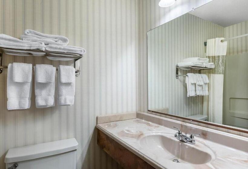 اتاق استاندارد با تخت بزرگ, Baymont By Wyndham Spearfish