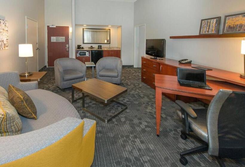 带大床的套房, Courtyard Bymarriott Albany