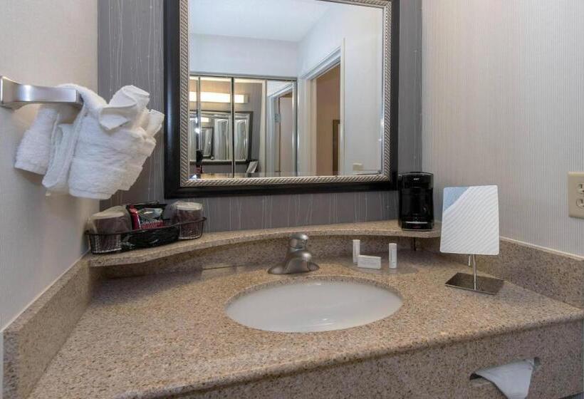 适合残疾人士使用的带超级大床的标准间, Courtyard Bymarriott Albany