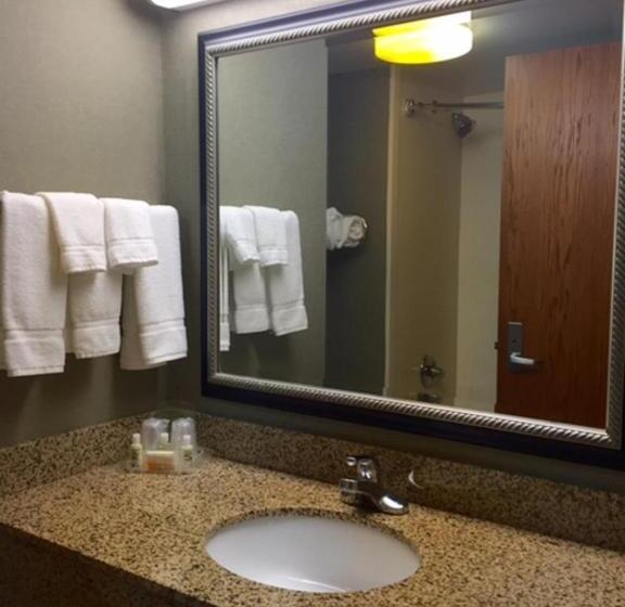 Camera Standard, Holiday Inn Memphis University Of Memphis, An Ihg