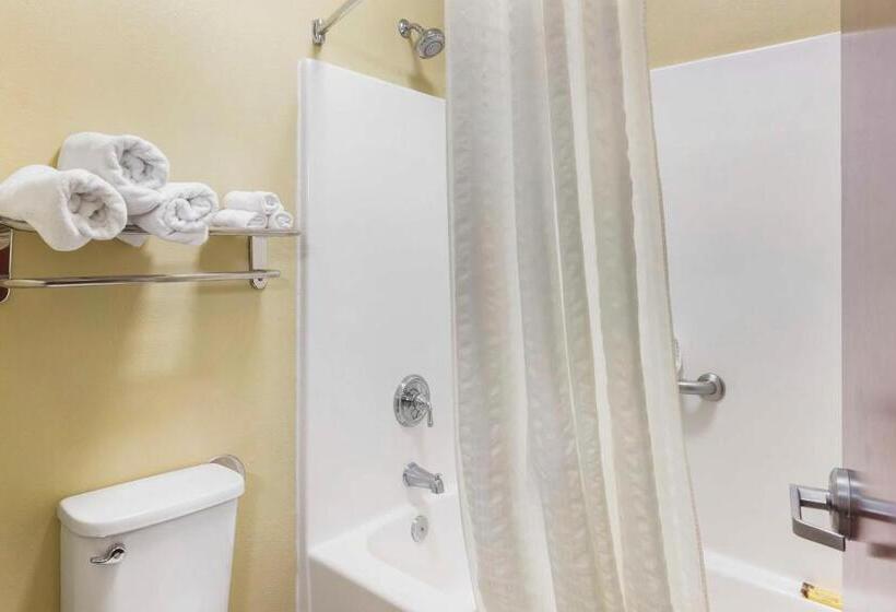 Люкс Кровать Кинг, Best Western Plus Wilmington/carolina Beach