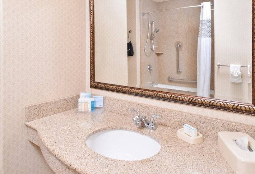 Люкс с гидромассажем, Hampton Inn & Suites Boise Meridian