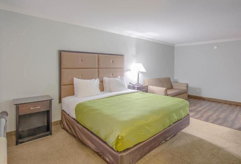 장애인을 위한 킹사이즈 침대 스탠다드 룸, Quality Inn