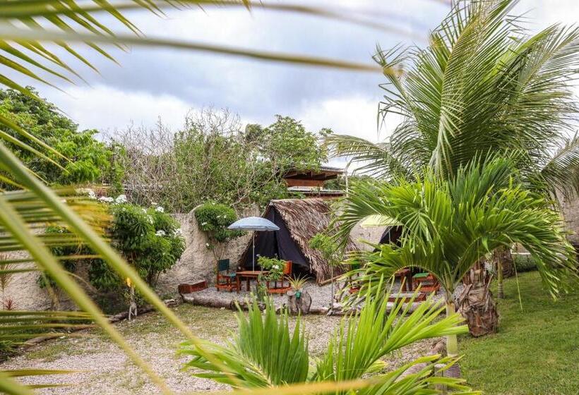 بنجلو قياسى, Back To The Beach Hostel   Pipa