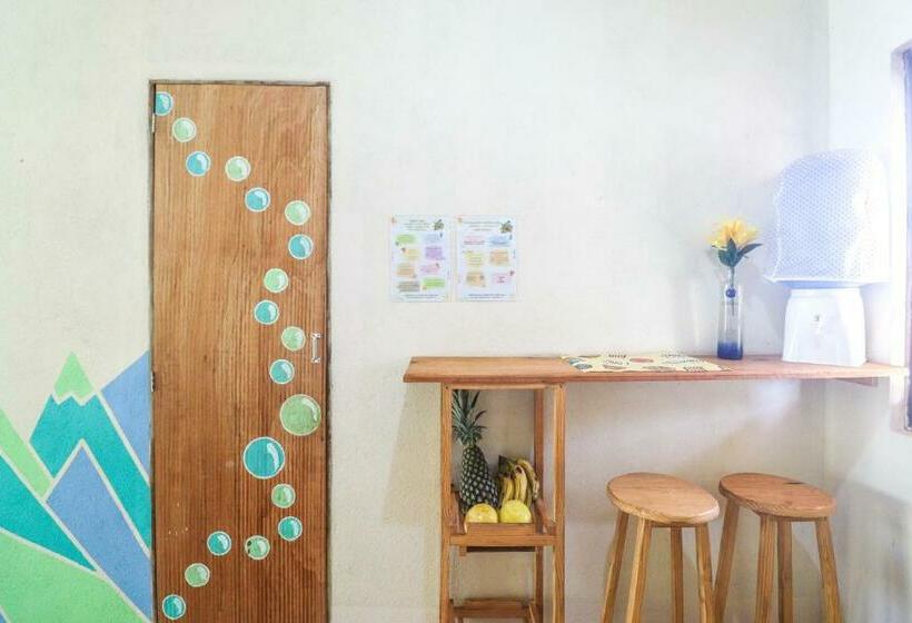 آپارتمان سوپریور 1 خوابه, Back To The Beach Hostel   Pipa