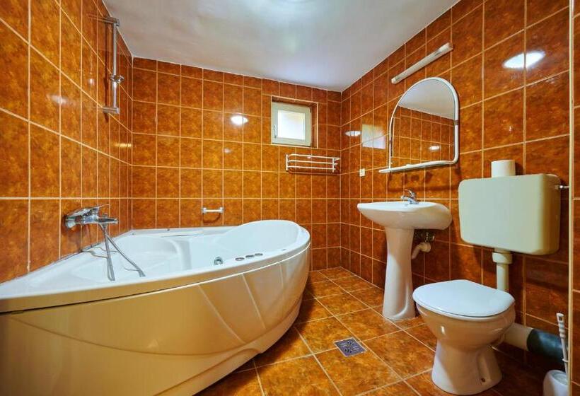 Номер Стандарт, Pensiunea Iris