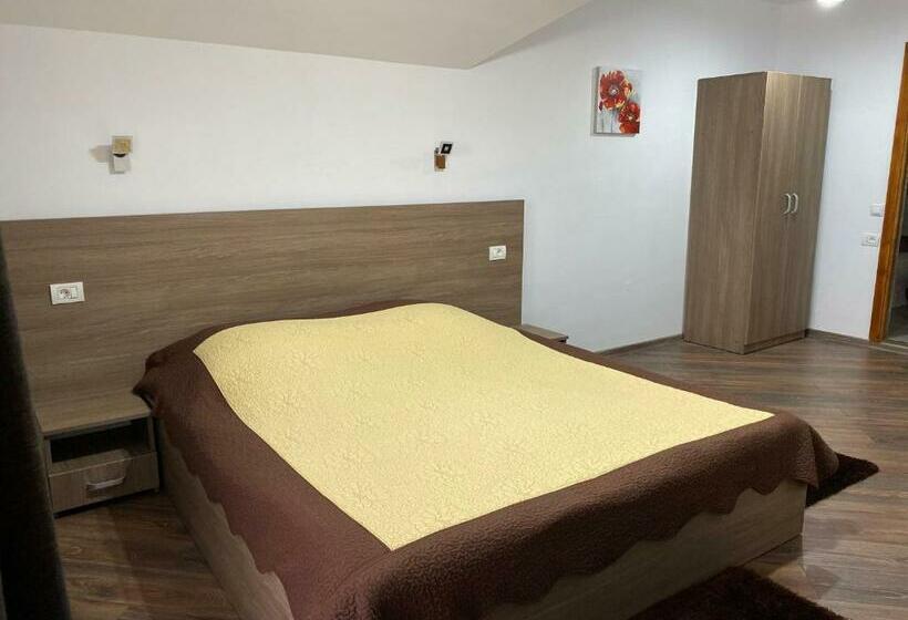 Номер Superior, Pensiunea Casa Alexandra