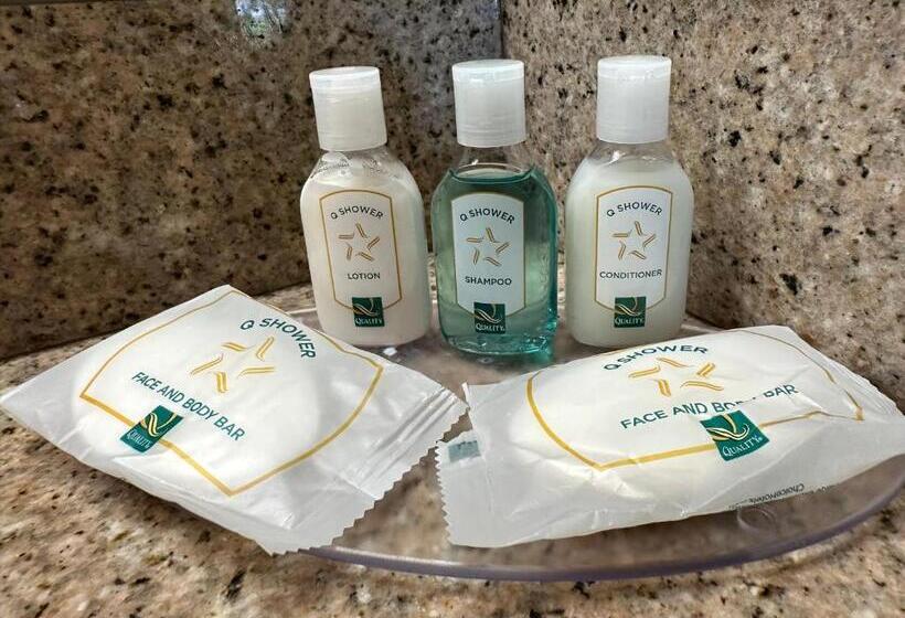 带大床的标准间, Quality Inn & Suites