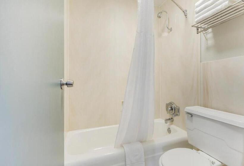 适合残疾人士使用的带超级大床的标准间, Quality Inn & Suites