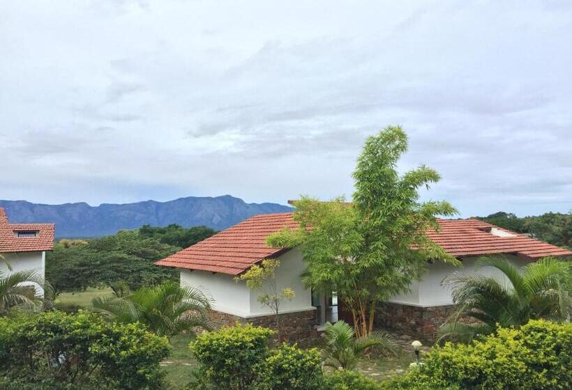 Номер Стандарт, Dhole's Den Bandipur