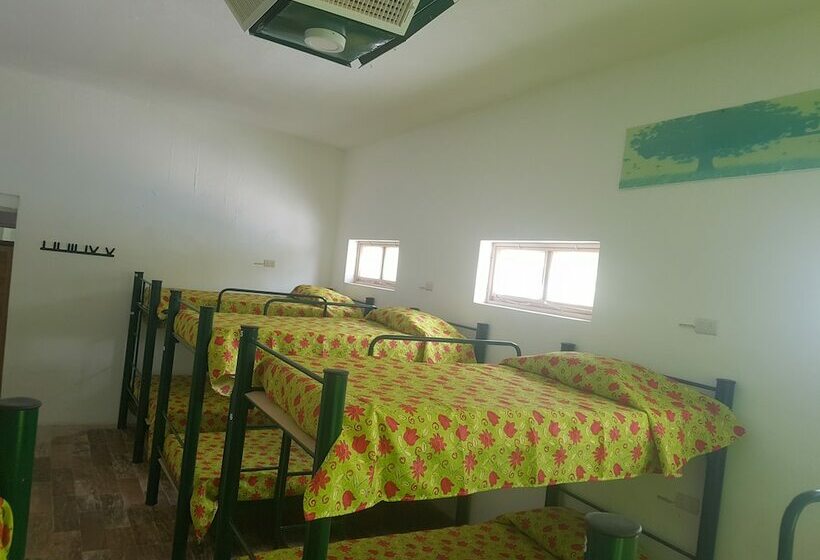 スタンダードルーム, Hostal Bustamante   Hostel