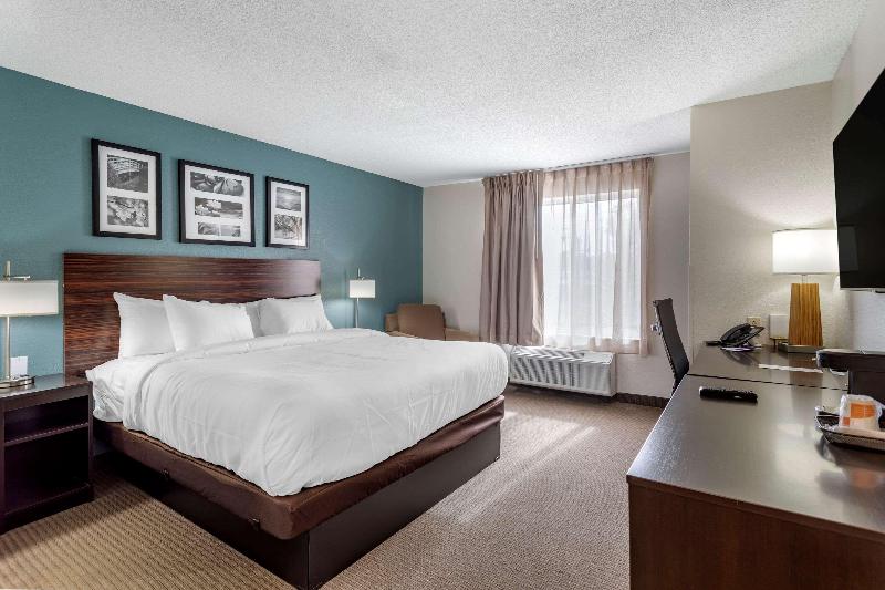 스탠다드 룸 킹사이즈 침대, Sleep Inn & Suites Lebanon  Nashville Area