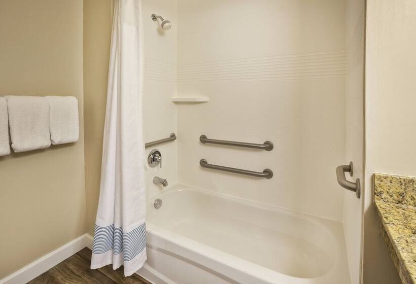 Студио Executive, Towneplace Suites Detroit Dearborn