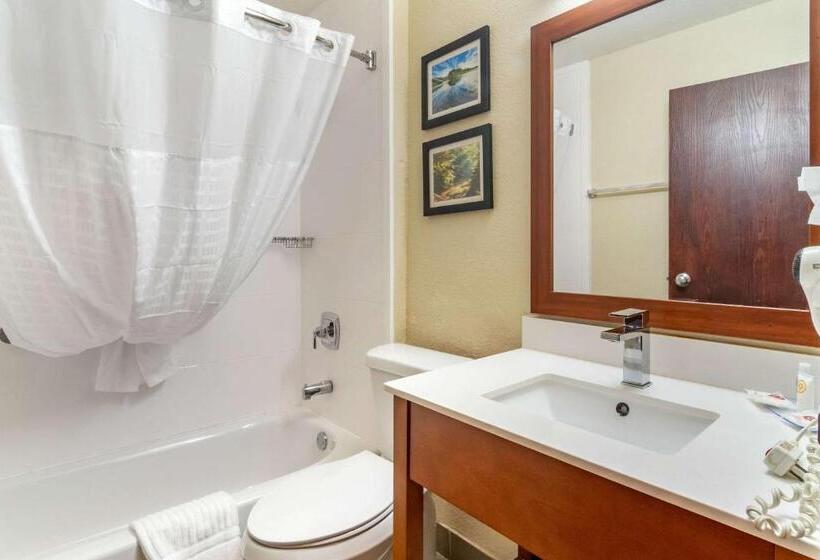 Стандартный Номер Кровать Кинг, Comfort Inn & Suites South Hill I85