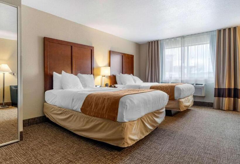 Номер Стандарт, Comfort Inn & Suites South Hill I85