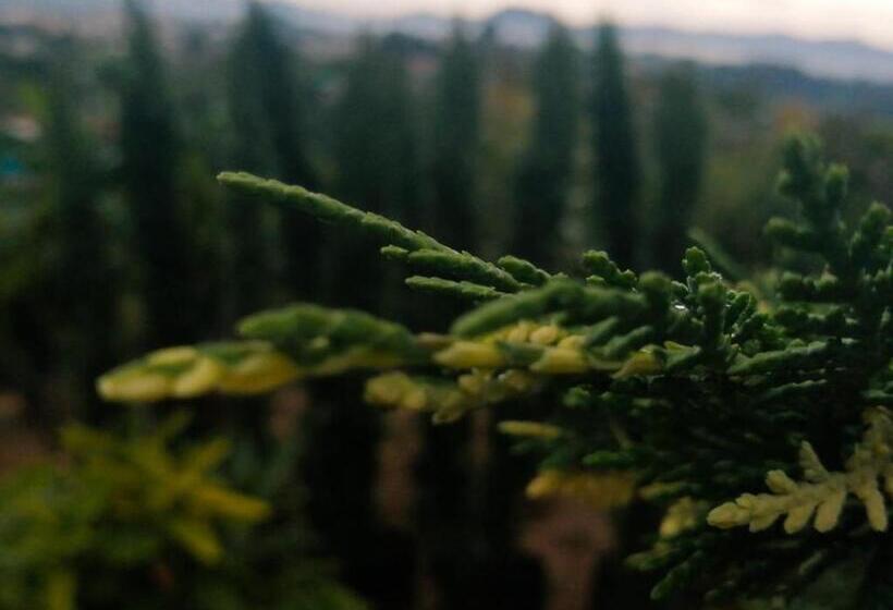 Дом 1 Спальня, Vista Hermosa Eco Hostal