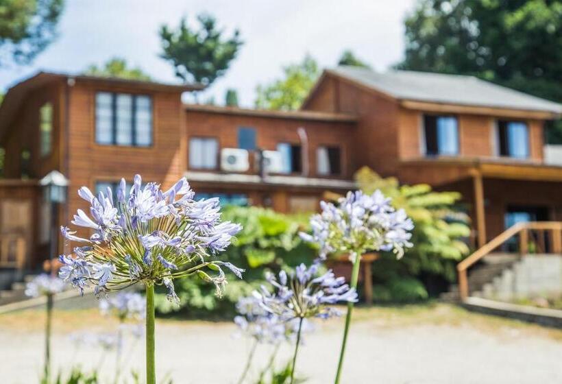 Номер Стандарт Вид на Сад, Apart Hotel Puchaley Lafquen