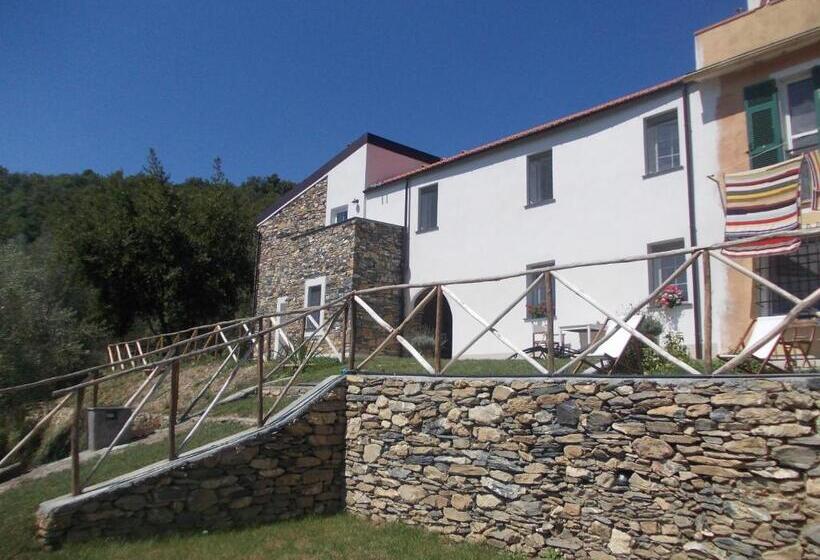 Номер Стандарт, Ca  Do Diao