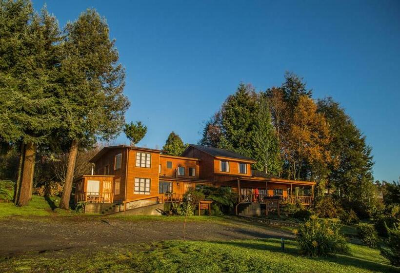Номер Стандарт, Apart Hotel Puchaley Lafquen