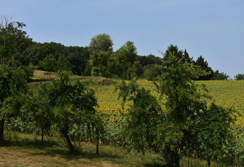 Номер Стандарт Вид на Сад, Domaine De Calbiac