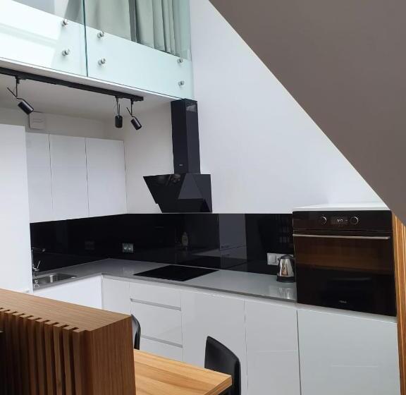 آپارتمان دوبلکس 1 خوابه, Odrzańska Residence Old Town