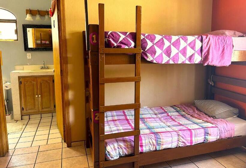سرير فى غرفة مشتركه, Sofia Hostel Cabo