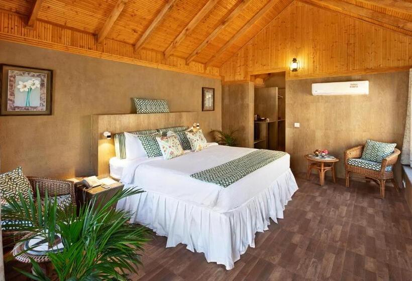 스탠다드 스튜디오, Suryavilas Luxury Resort & Spa