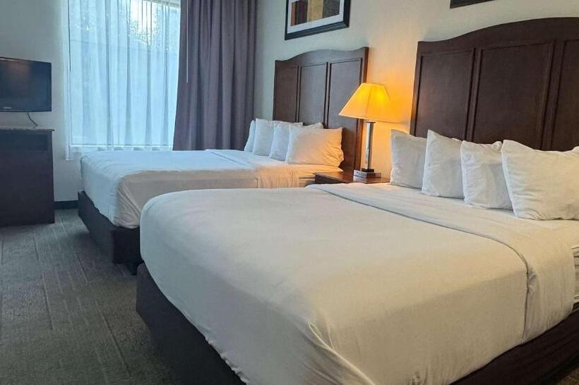 Номер Стандарт Кровать Квин Адаптированный для Инвалидов, Best Western Plus Hannaford Inn & Suites