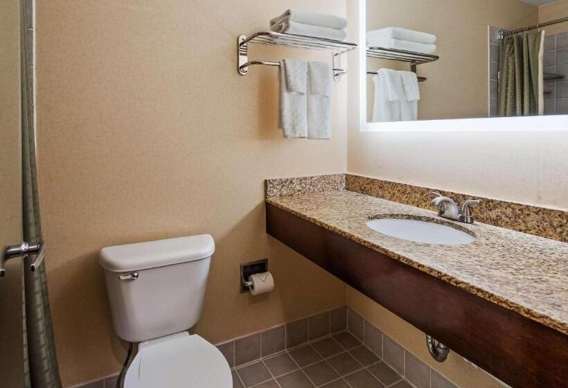 Номер Стандарт Кровать Квин Адаптированный для Инвалидов, Best Western Plus Hannaford Inn & Suites