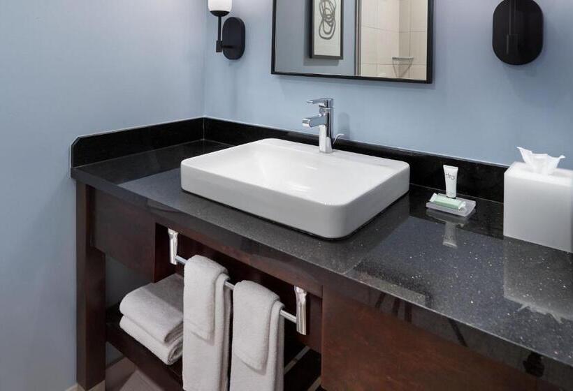 스위트, Courtyard By Marriott New Orleans French Quarter/iberville