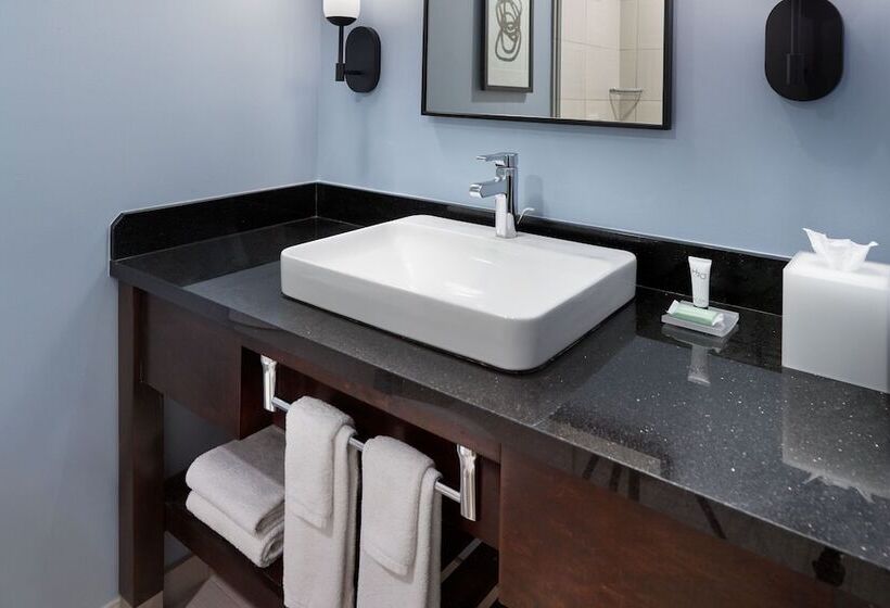 스위트, Courtyard By Marriott New Orleans French Quarter/iberville