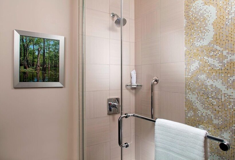 스위트, Courtyard By Marriott New Orleans French Quarter/iberville