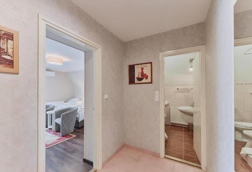 Четырехместный Номер Стандарт, Tokajer Wellness Panzió