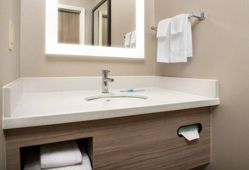 스위트, Springhill Suites By Marriott Atlanta Buford/mall Of Georgia