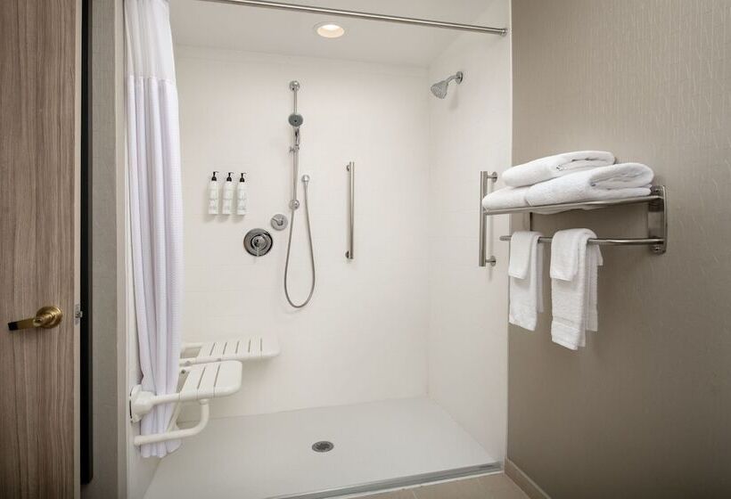스위트, Springhill Suites By Marriott Atlanta Buford/mall Of Georgia