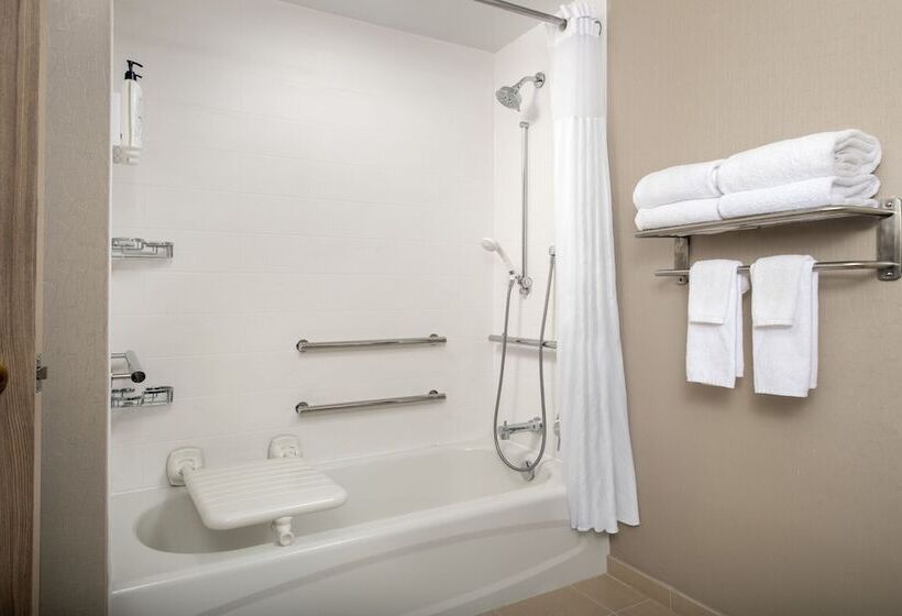 장애인을 위한 스위트, Springhill Suites By Marriott Atlanta Buford/mall Of Georgia