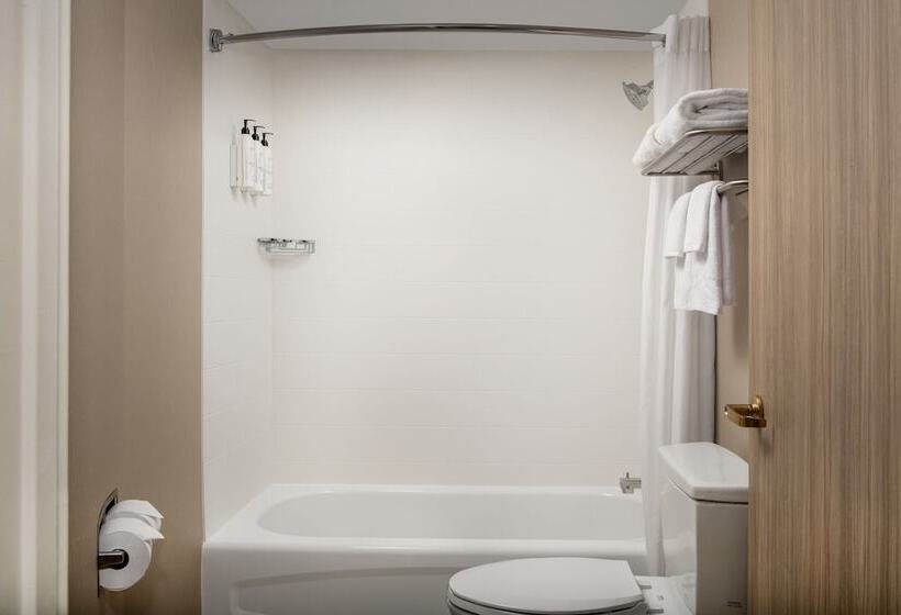 장애인을 위한 스위트, Springhill Suites By Marriott Atlanta Buford/mall Of Georgia