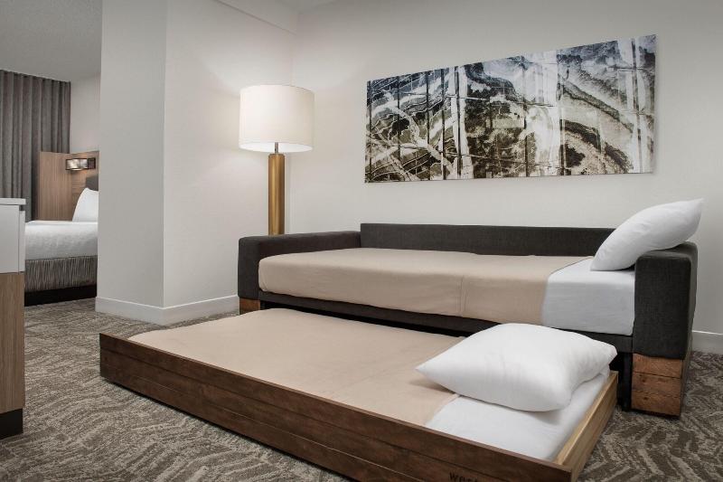 스위트 킹사이즈 침대, Springhill Suites By Marriott Atlanta Buford/mall Of Georgia