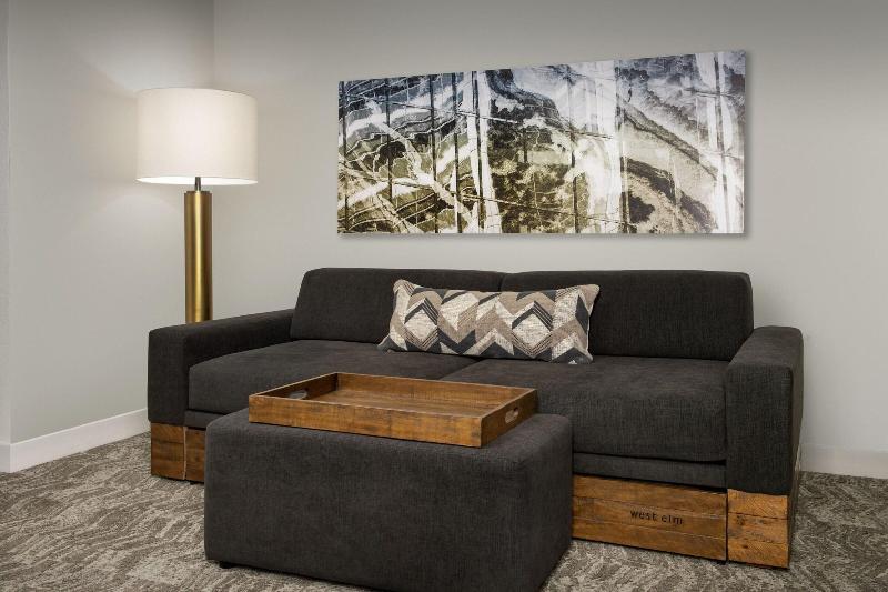 스탠다드 룸, Springhill Suites By Marriott Atlanta Buford/mall Of Georgia